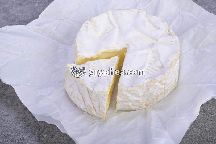 Un fromage à croûte fleurie - le camembert - gryphea.com